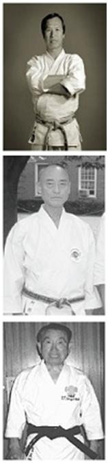 Enoeda Keinosuke, Abe Keigo, Sumi Yoshikazu